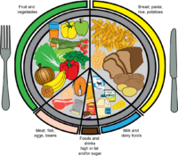 Eat well plate