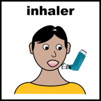 Inhaler