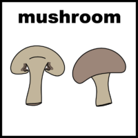 Mushroom