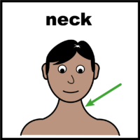 Neck