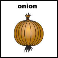 Onion