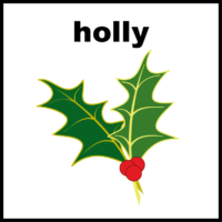 holly