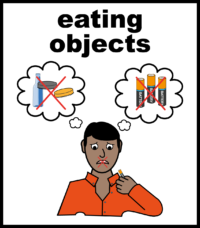 eating objects