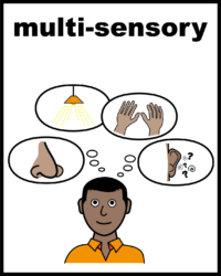 multi sensory